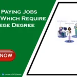 10 High-Paying Jobs in Dubai Without a Degree