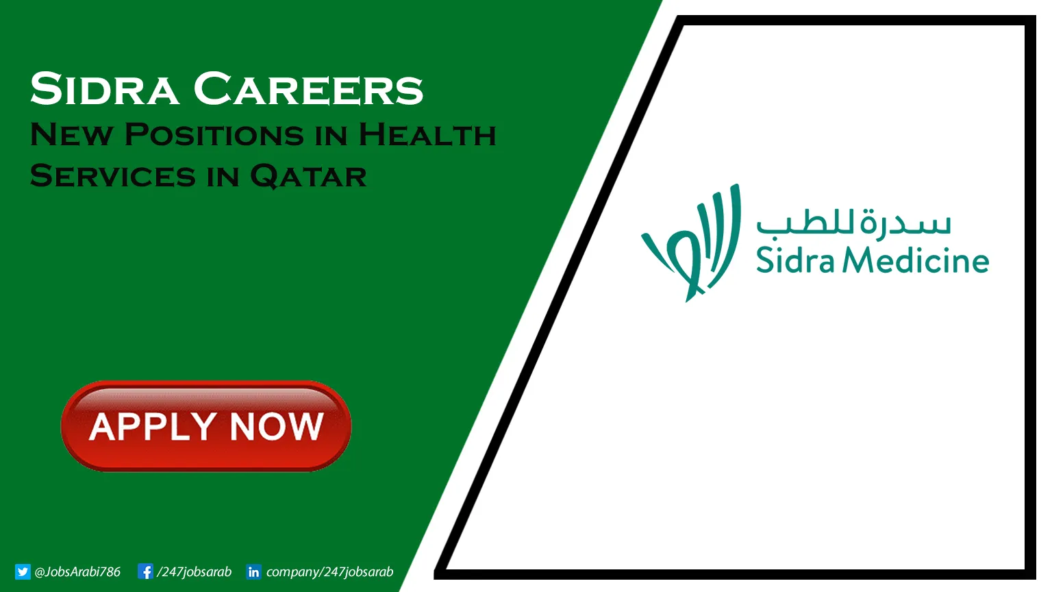Sidra Careers