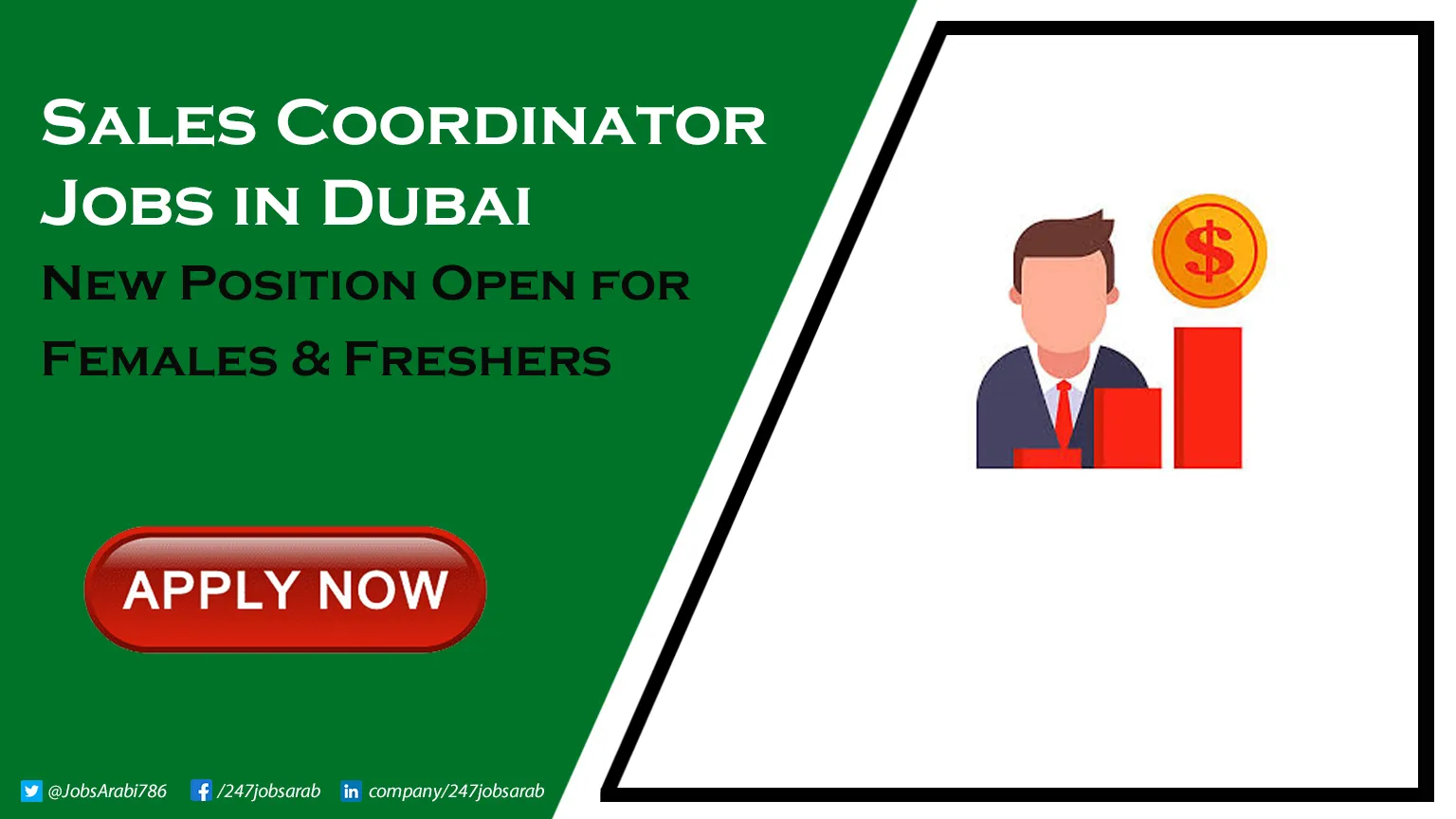 Sales Coordinator Jobs in Dubai